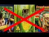 SciFind ตอน กินอาหาร GMO อันตรายจริงหรือ