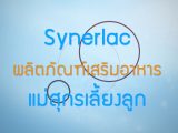 พลังวิทย์ คิดเพื่อคนไทย ตอน Synerlac ผลิตภัณฑ์เสริมอาหารในแม่สุกรเลี้ยงลูก