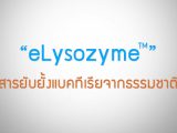 พลังวิทย์ คิดเพื่อคนไทย ตอน “eLysozyme” สารยับยั้งแบคทีเรียจากธรรมชาติ