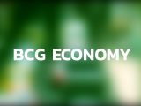 BCG Economy