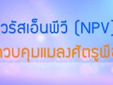 พลังวิทย์ คิดเพื่อคนไทย ตอน ไวรัสเอ็นพีวี (NPV) ควบคุมแมลงศัตรูพืช