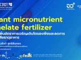 Plant micronutrient chelate fertilizer เพื่อเพิ่มอัตราการเจริญเติบโตของพืชและลดการสูญเสียของธาตุอาหาร