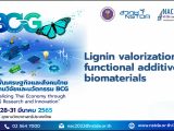 Lignin valorization as functional additive for biomaterials