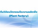 นวัตกรรมโรงงานผลิตพืช (Plant Factory)