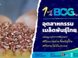 1 นาที กับ BCG Model ตอน อุตสาหกรรมเมล็ดพันธุ์ไทย
