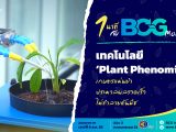 1 นาที กับ BCG Model ตอน เทคโนโลยี “Plant Phenomics”