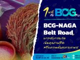 1 นาที กับ BCG Model ตอน BCG-NAGA Belt Road