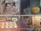Service Platform for Food & Functional Ingredients (FoodSERP)