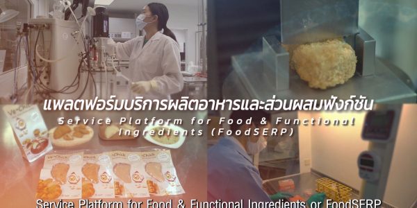 Service Platform for Food & Functional Ingredients (FoodSERP)